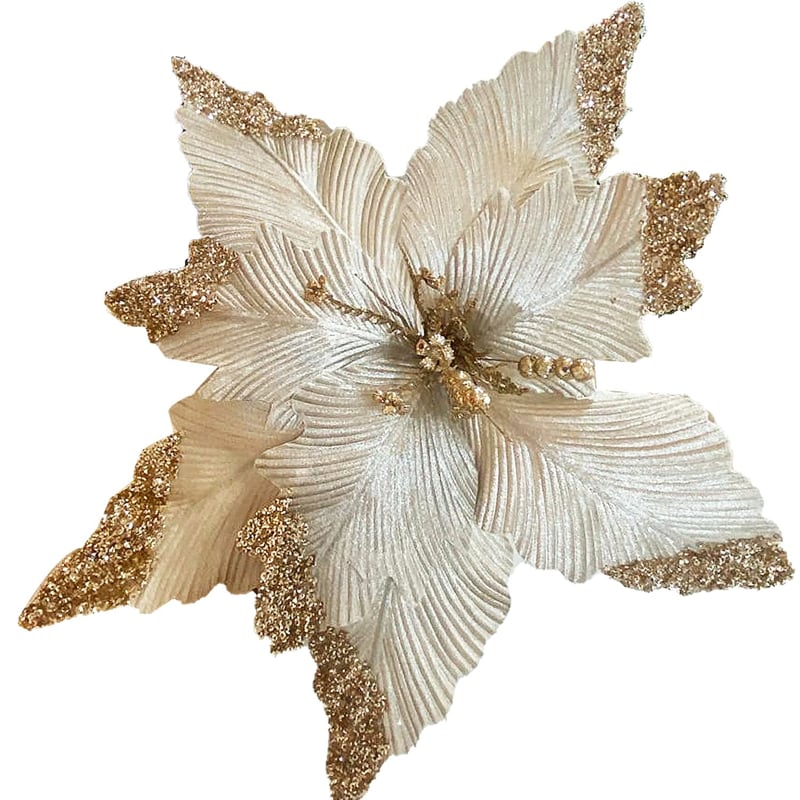 FLOR NAVIDEÑA CHAMPAÑA
