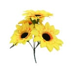 GIRASOL X5:
