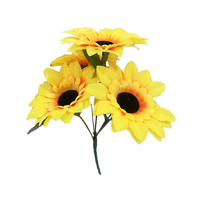 GIRASOL X5: