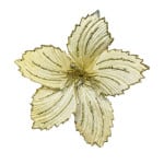 FLOR NAVIDEÑA CHAMPAÑA(BDJX192)