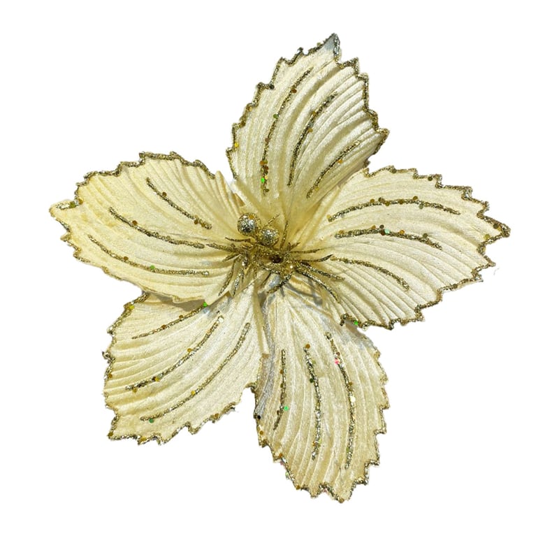 FLOR NAVIDEÑA CHAMPAÑA(BDJX192)