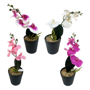 PLANTA EN MACETA PLASTICA X4: