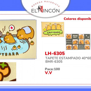 TAPETE ESTAMPADO 40*60CM BMR-6305