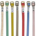 CORREA ECONOMICA SURTIDA COLORES (PQTX12)