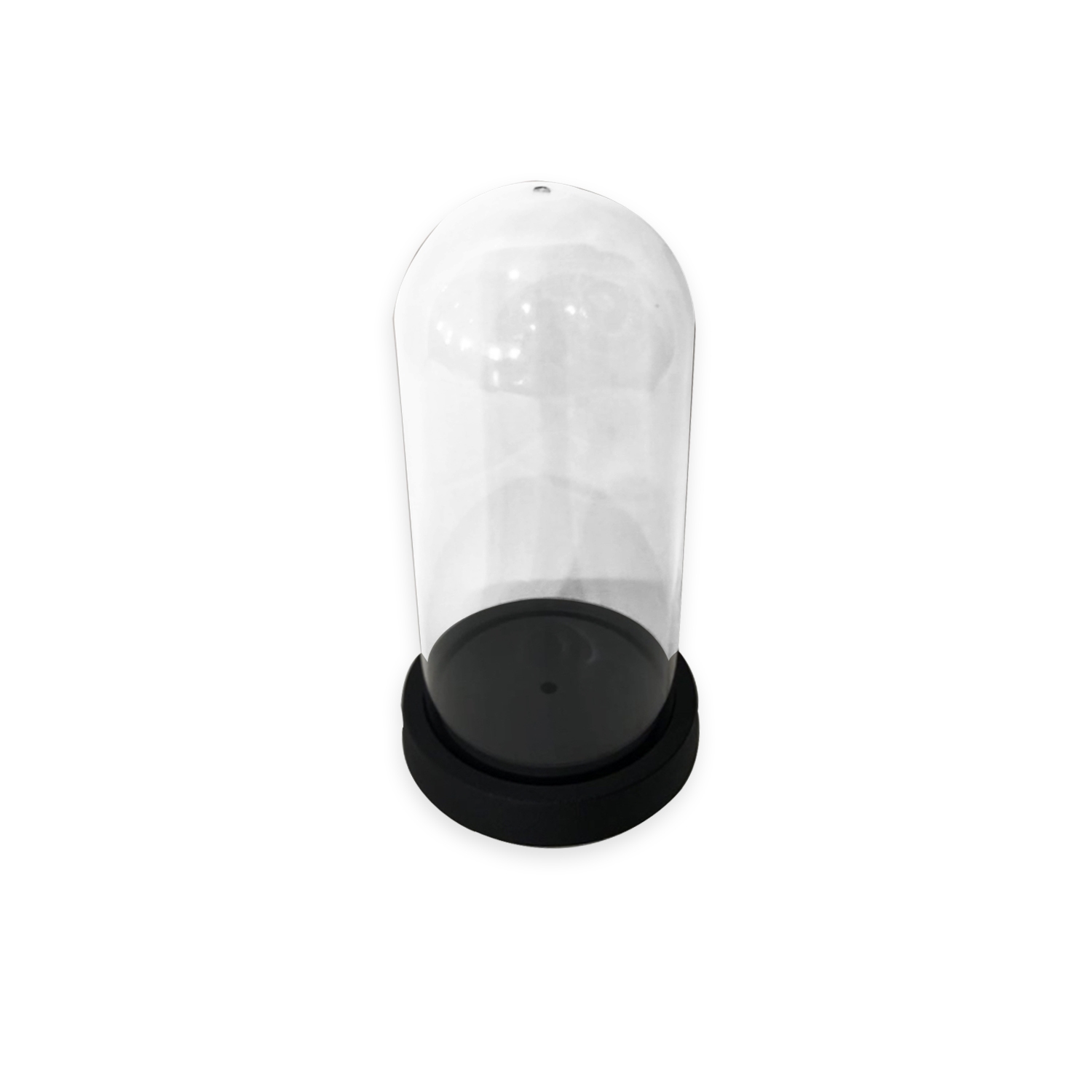 CAPSULA TRANSPARENTE CON BASE 7*13CM