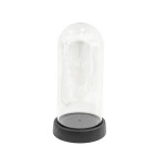 CAPSULA TRANSPARENTE CON BASE 8*18CM