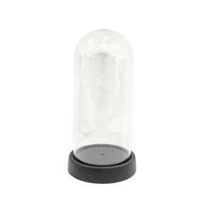 CAPSULA TRANSPARENTE CON BASE 8*18CM