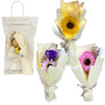 RAMO FLORES EN BOLSA DESARMADA CON LUZ (CJX5)