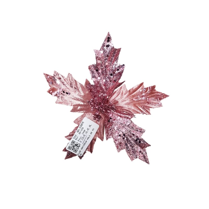 FLOR NAVIDEÑA CHAMPAÑA
