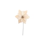 FLOR NAVIDEÑA DORADA (PQTX24) (15X15CM)