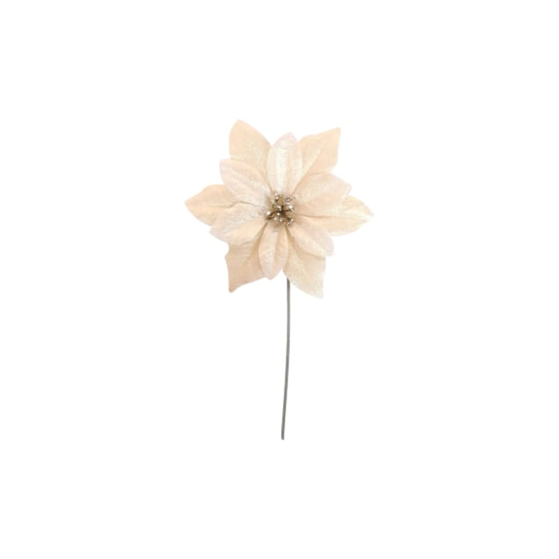FLOR NAVIDEÑA DORADA (PQTX24) (15X15CM)