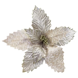 FLOR NAVIDEÑA CHAMPAÑA((BDJ X144))